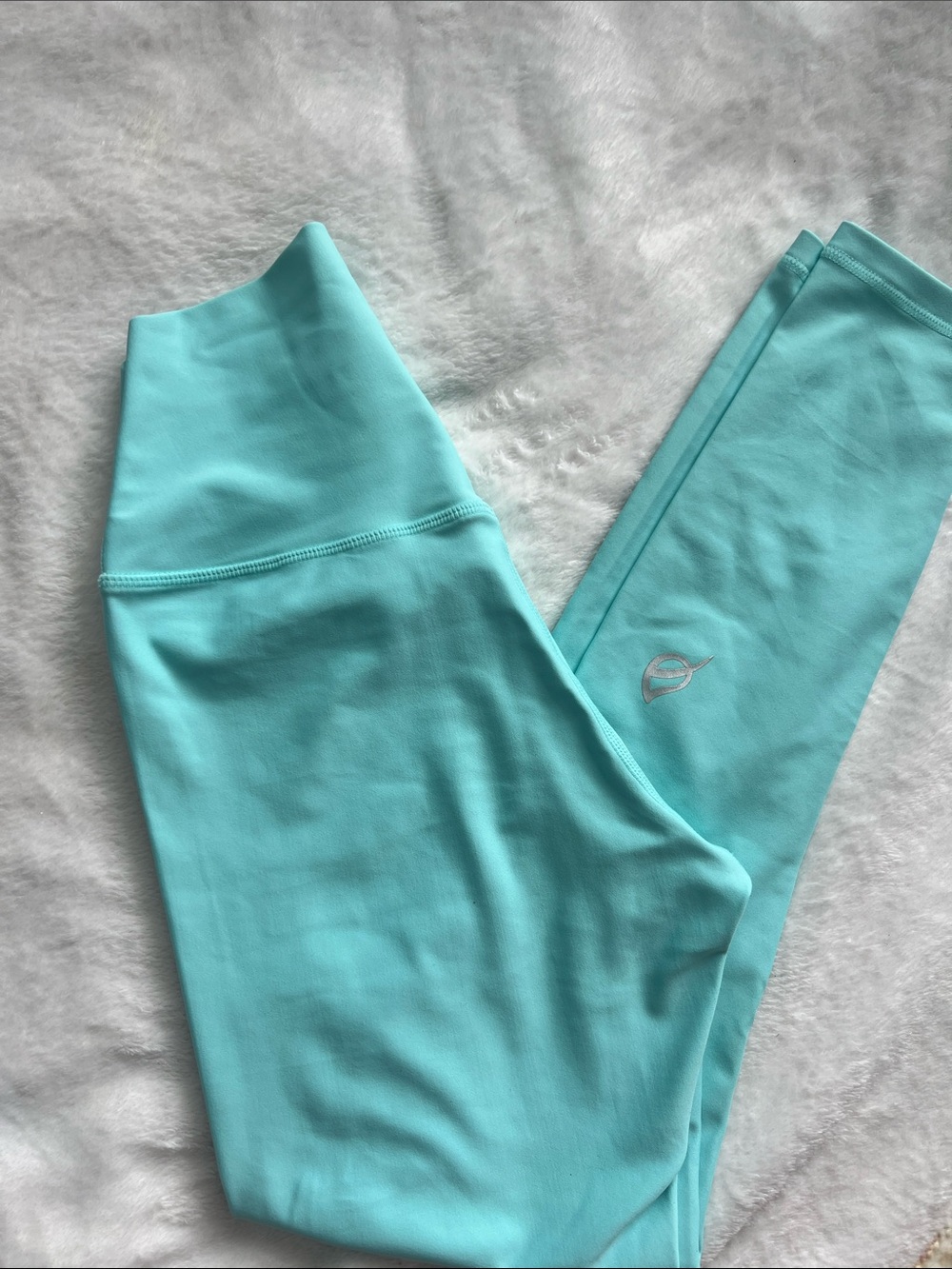 Ptula Mint colored Legging